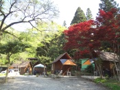 DSC09651.3.jpg