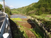 DSC09657.9.jpg