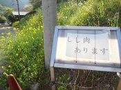 DSC09658.12.jpg