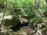 IMG_5532ho.jpg