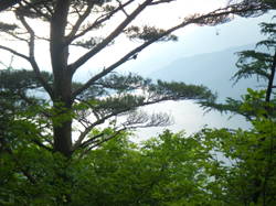 untitled3.bmp補.bmp